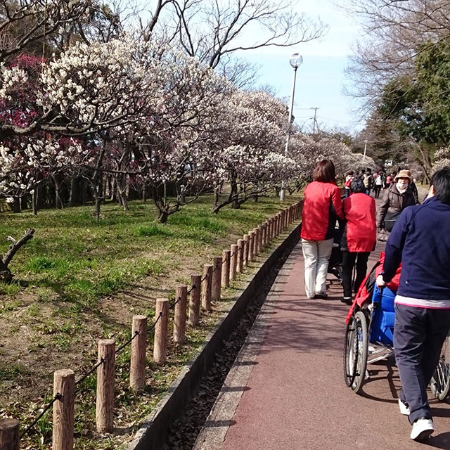 外出の様子